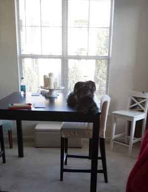 NWR- Does anybody want a dog?