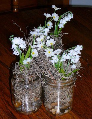 Mason Jar centerpieces?? pics :)
