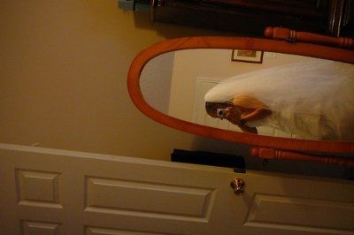 To much veil?? I like the look myself, but what are your opinions??