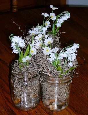 Centerpieces!