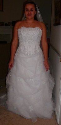 Need opinions.. thinking of altering my dress!
