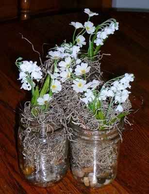 What DIY projects did you take on? Pics Please. Do you have any easy project suggestions?