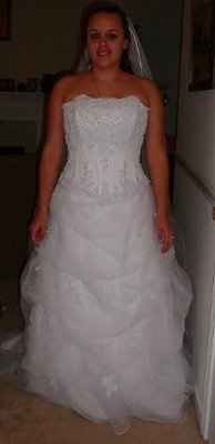 Need opinions.. thinking of altering my dress!