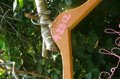 Am I the only one who gets in artistic moods? Share your artistic photos if you have any! :) *PICS*