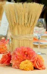 Re-thinking my decor. *PICS*