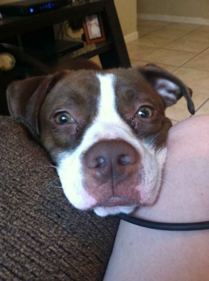 NWR- Furbaby Friday