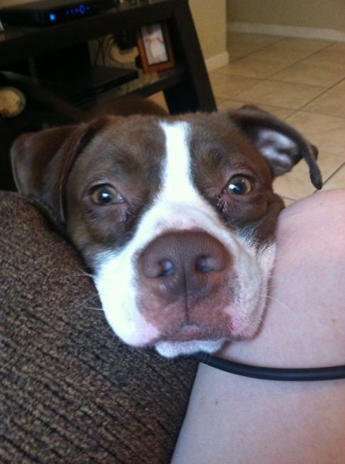 NWR- Furbaby Friday