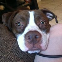NWR- Furbaby Friday