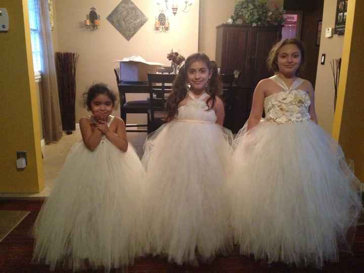 Flower Girl Dresses came in(picture included)