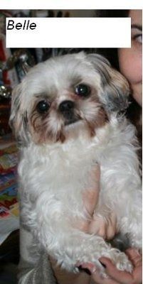 Let's do a show-and-tell about our fur-babies!!!