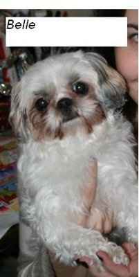 Let's do a show-and-tell about our fur-babies!!!