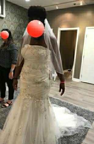 I said "Yes" to the Dress