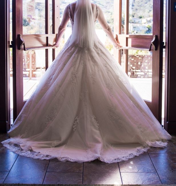 Bustle wedding dress 2