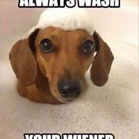 NWR - What's the last meme you saved?