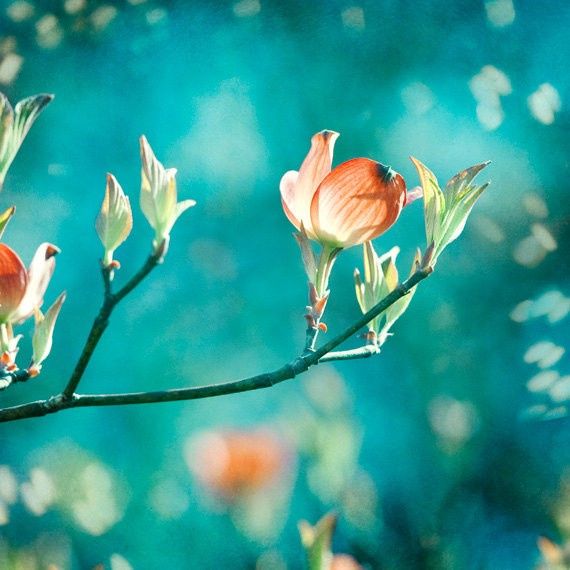 Color inspiration