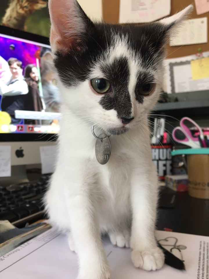 NWR: I work in a home office...