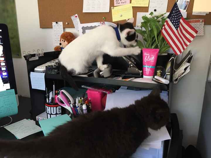 NWR: I work in a home office...