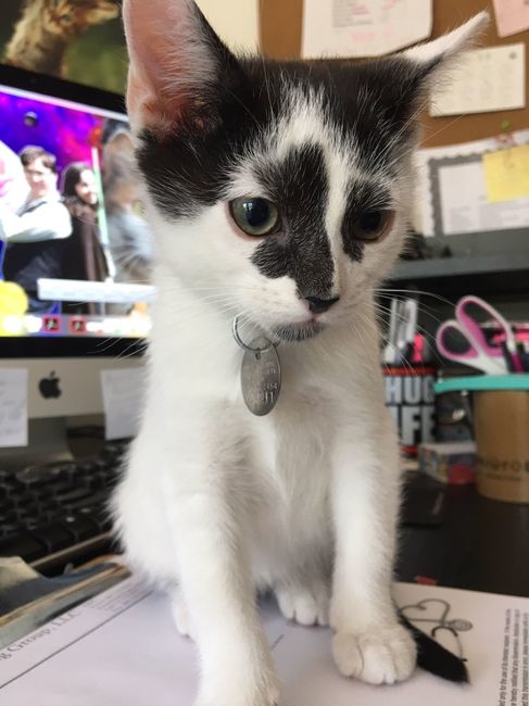 NWR: I work in a home office...