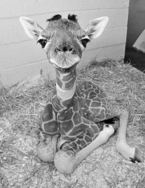 Because we could use a laugh today ...