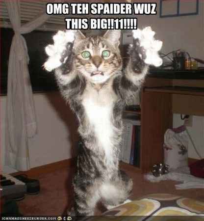 Because we could use a laugh today ...