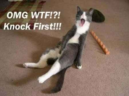 Because we could use a laugh today ...
