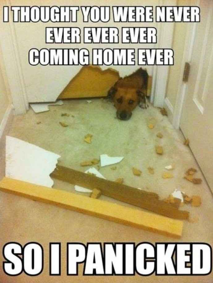 Because we could use a laugh today ...