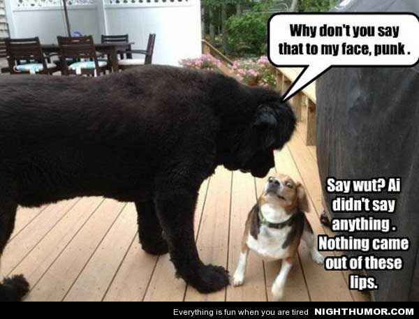Because we could use a laugh today ...