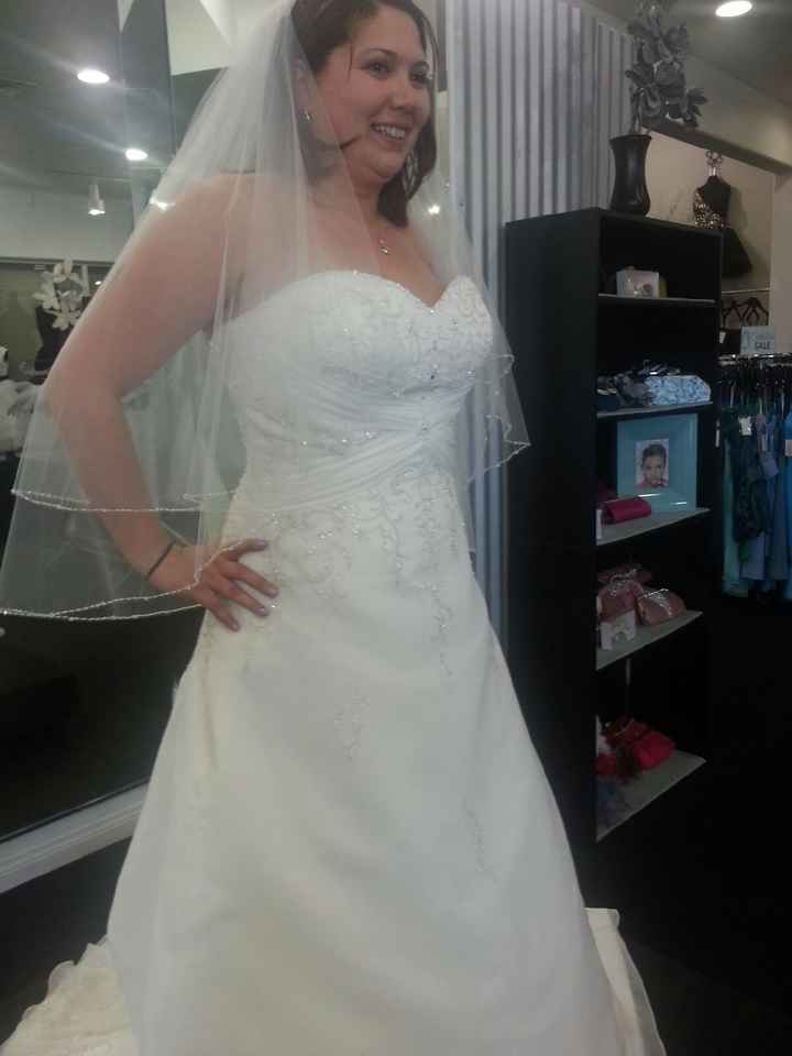 Fit N Flare Or Ball Gown...