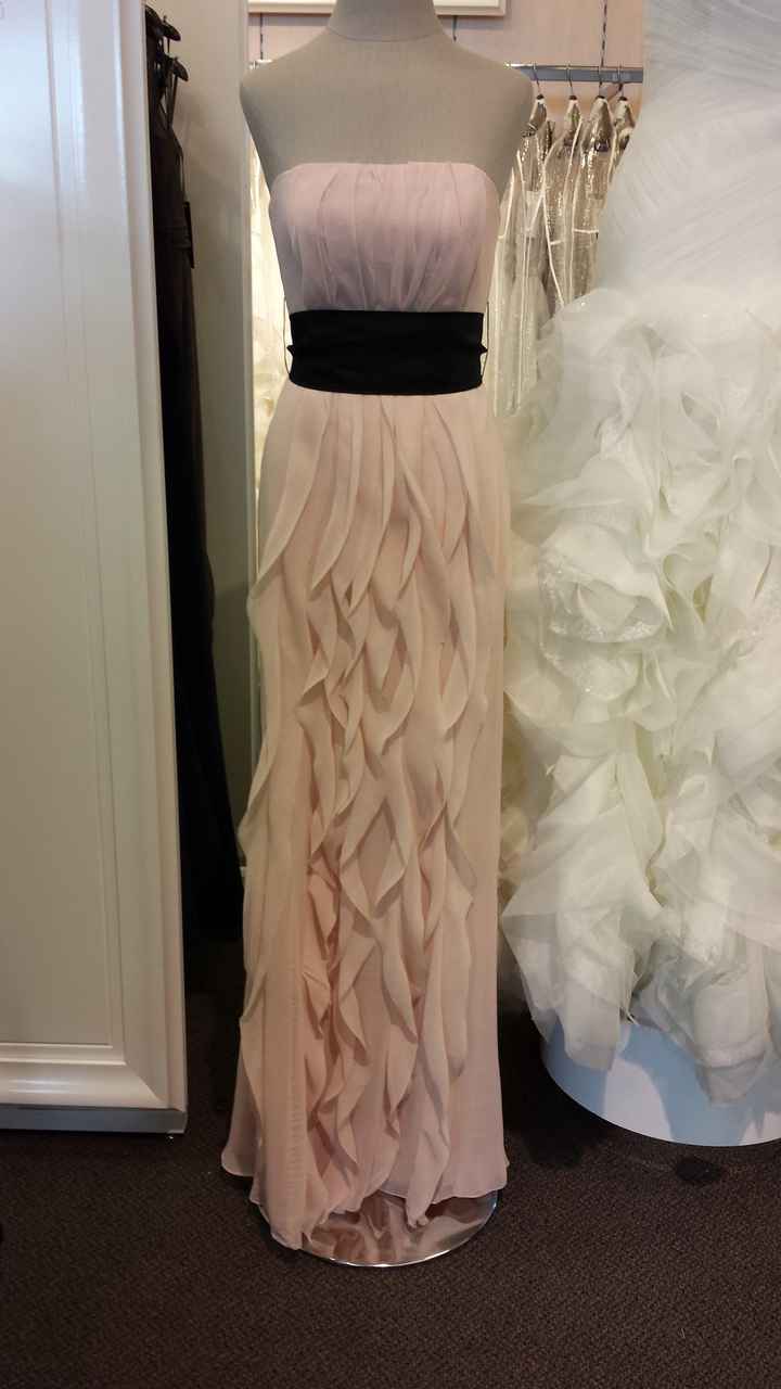 Successful BM dress shopping trip