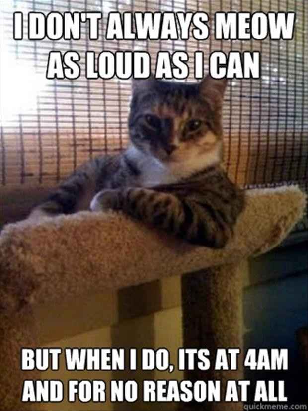 Because we could use a laugh today ...