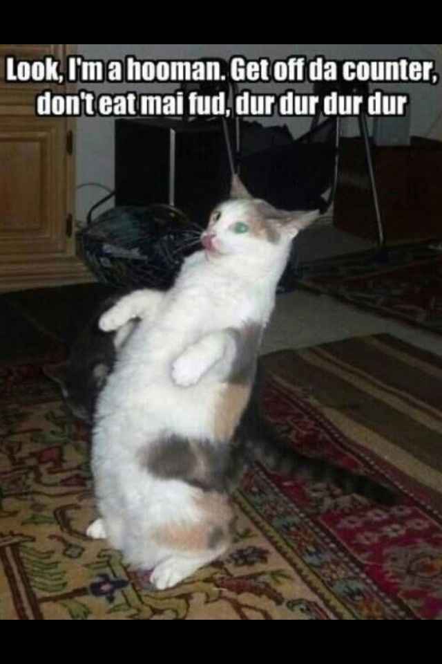 Because we could use a laugh today ...