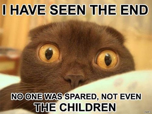 Because we could use a laugh today ...