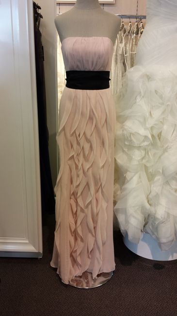 Successful BM dress shopping trip