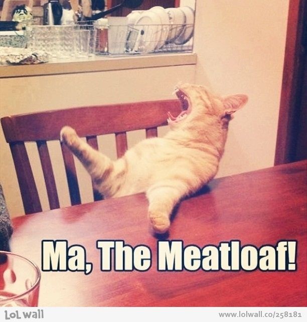 Because we could use a laugh today ...