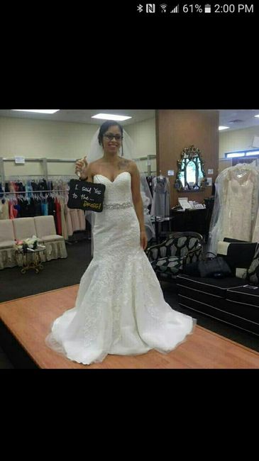 Paging Allure brides