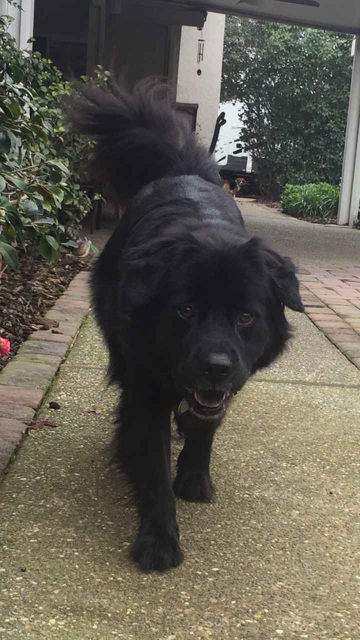 NWR: Show me your pups!