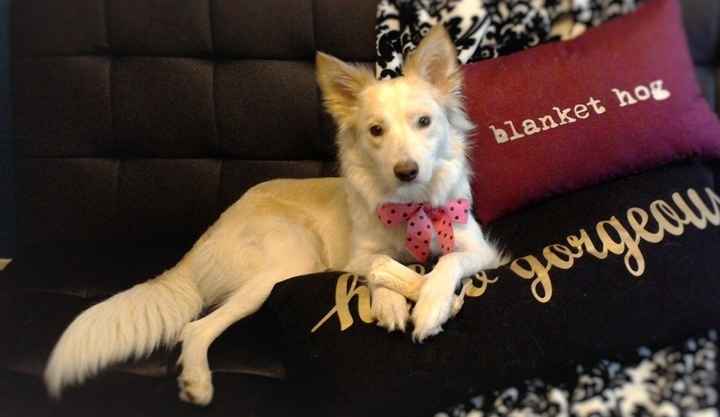 NWR: Show me your pups!