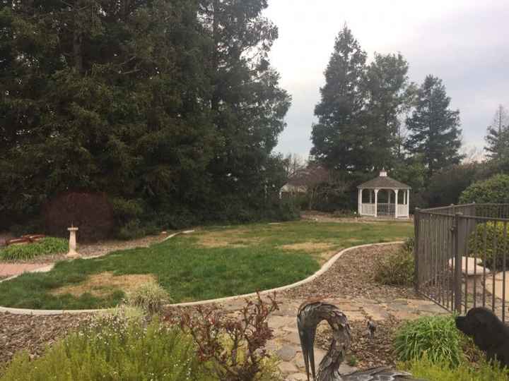 Backyard Weddings
