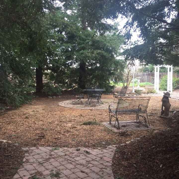 Backyard Weddings