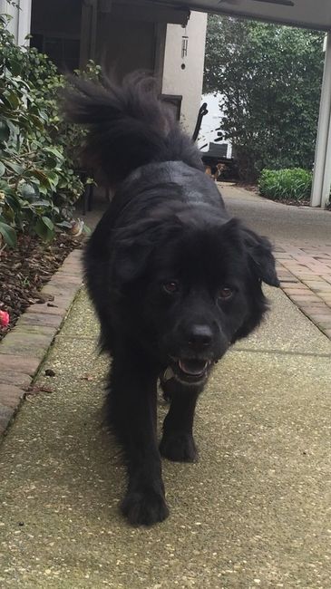 NWR: Show me your pups!