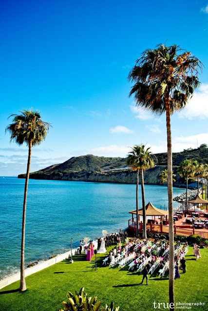 Help!  I don't have a vision!