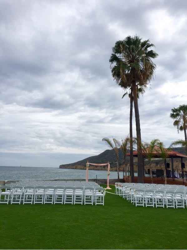 To arch or not to arch