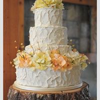 Ok Ladies, Let Me See Your Cake Inspiration!