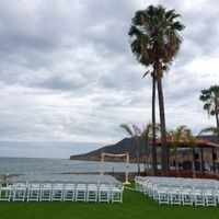 To arch or not to arch