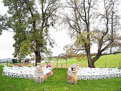 Fabric used to drape arch or arbor?