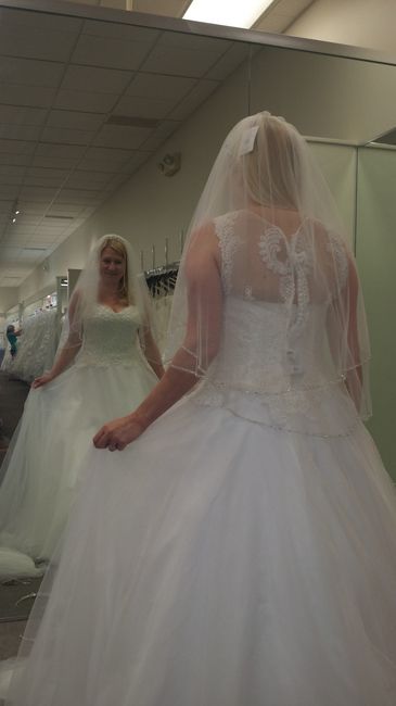 Show me your Davids Bridal dresses:)