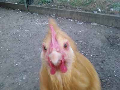 im bored and want to see pictures