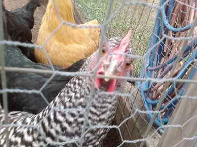 im bored and want to see pictures