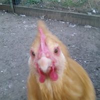 im bored and want to see pictures