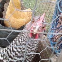 im bored and want to see pictures